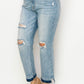 Casey High Rise Stretch Ankle Straight Jeans | Plus