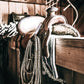 Saddle In The Barn Canvas Art | #133