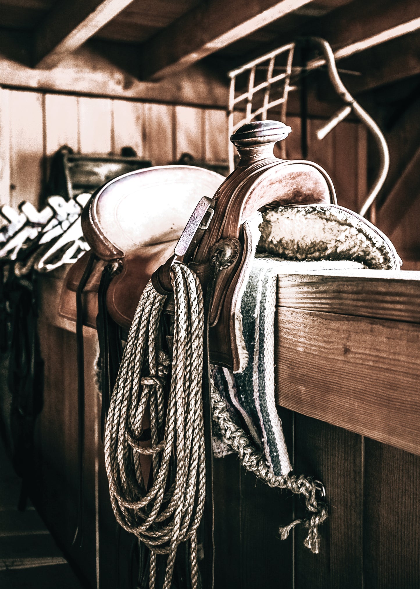 Saddle In The Barn Canvas Art | #133