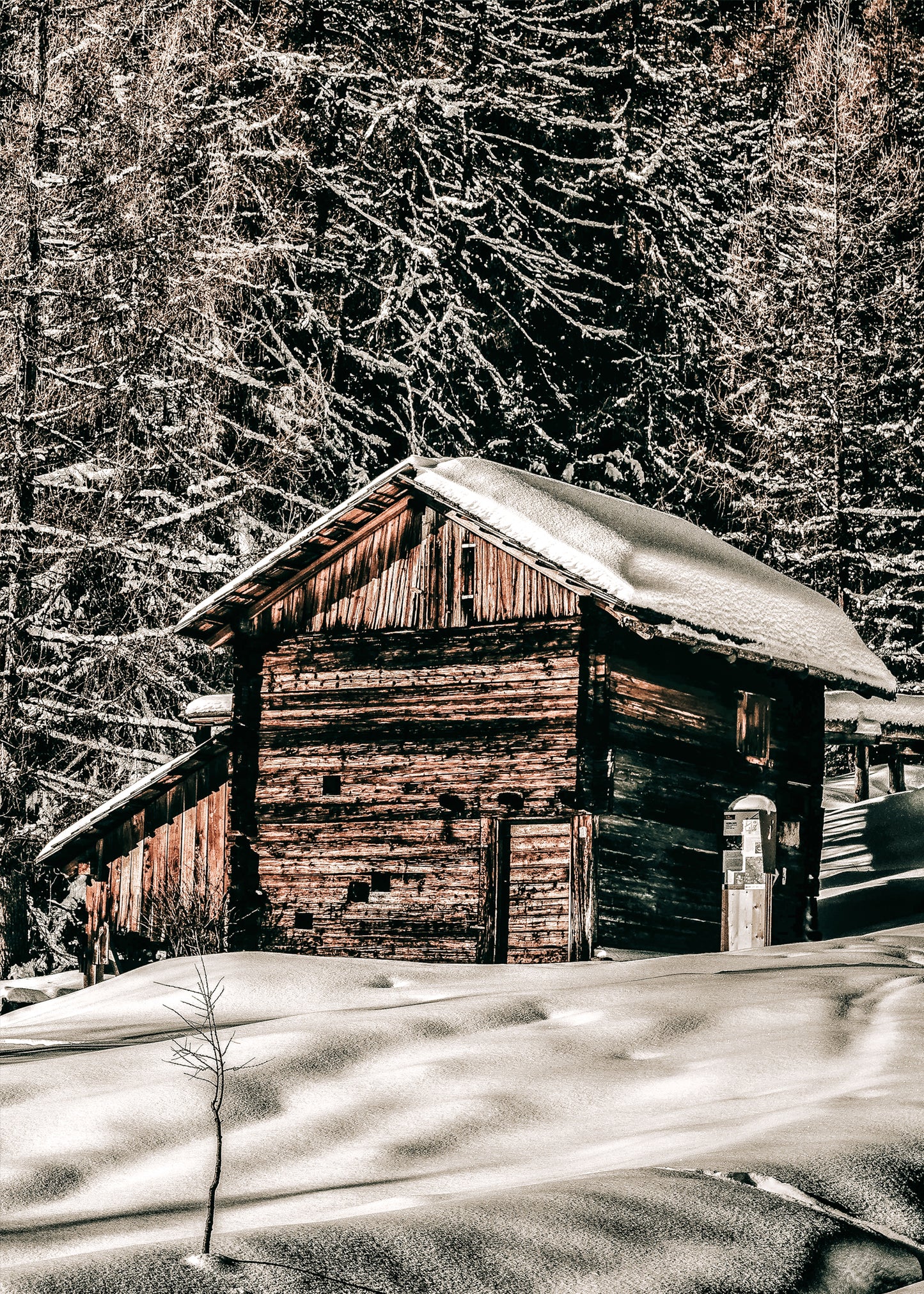 Snow Covered Roof Canvas Art | #92