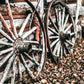 Wagon Wheels Canvas Art | #183