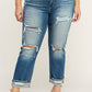 Olivia High Rise Stretch Ankle Straight Jeans | Plus