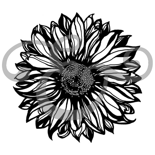Wild Sunflower Screen Print Transfer (6581956542542)